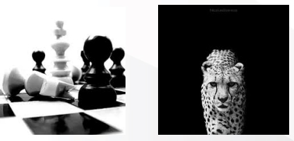 چشم، تصویر، تلویزیون